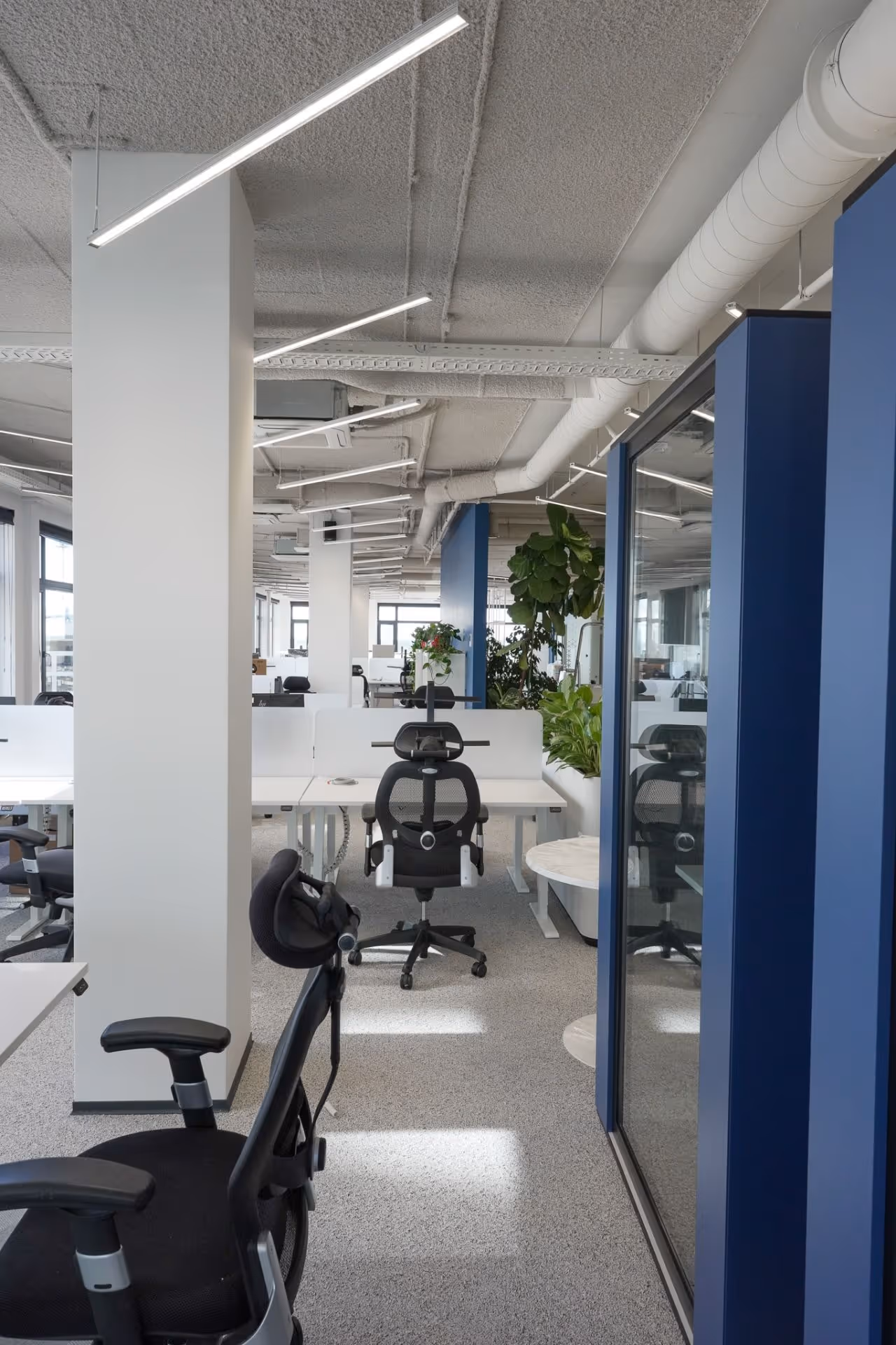 Office corridor with glass partitions and workstations
